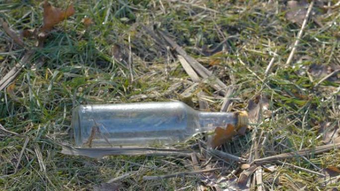 爱沙尼亚草地上的一个酒瓶