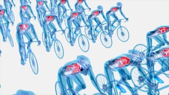 X射线骑自行车的4k解剖