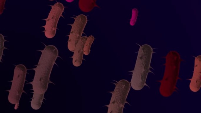 4k显微细菌医学背景-循环，可循环细菌-漂浮大肠杆菌细菌-细菌的3D动画。螺旋细菌特写-多种颜色