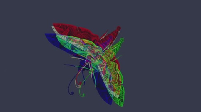 描绘3D飞蛾浮雕的高分辨率视频，它是通过分离颜色和使用滤镜制作的。
