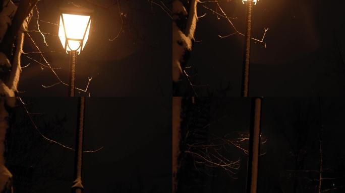 在初冬平底锅拍摄的灯笼背景下，夜公园的惊人慢动作降雪。气象，天气，自然现象，圣诞快乐，新年快乐概念
