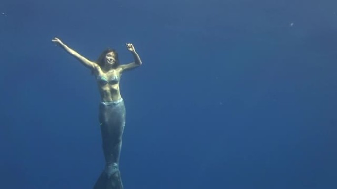 年轻女孩自由潜水员模型水下背景箭鱼鲭鱼在海上。