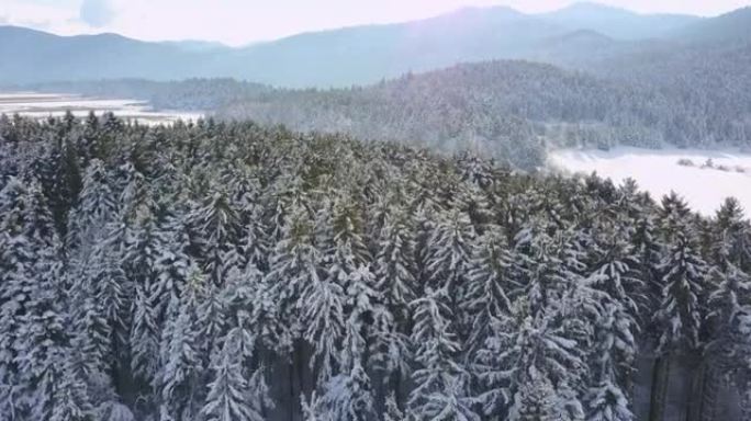 春季冰漂在冰冻的冬季河湖森林飞越-无人机收藏股票视频