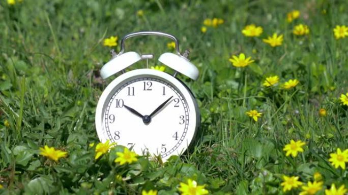绿色草地上有黄色花朵的白色经典闹钟