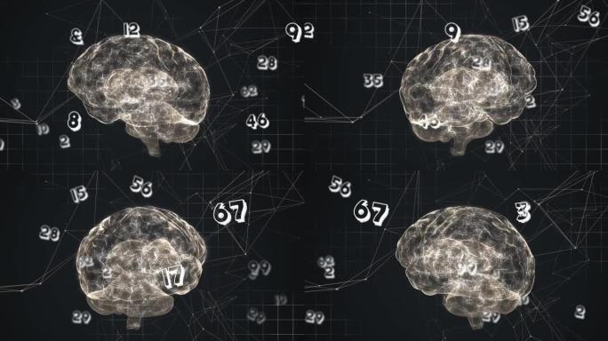 多重数字浮动和连接网络反对旋转人脑