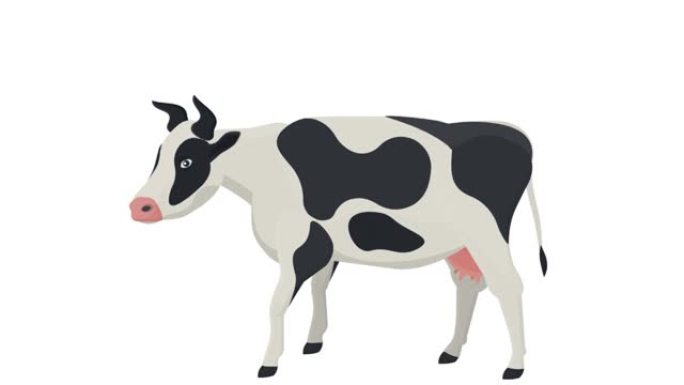 牛。放牛的动画。卡通