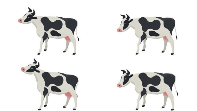 牛。放牛的动画。卡通