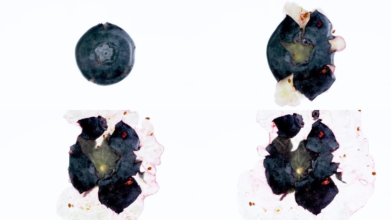 白色背景下挤压和爆裂蓝莓的4k慢动作视频。有机食品和健康营养的完美抽象背景。浆果特写