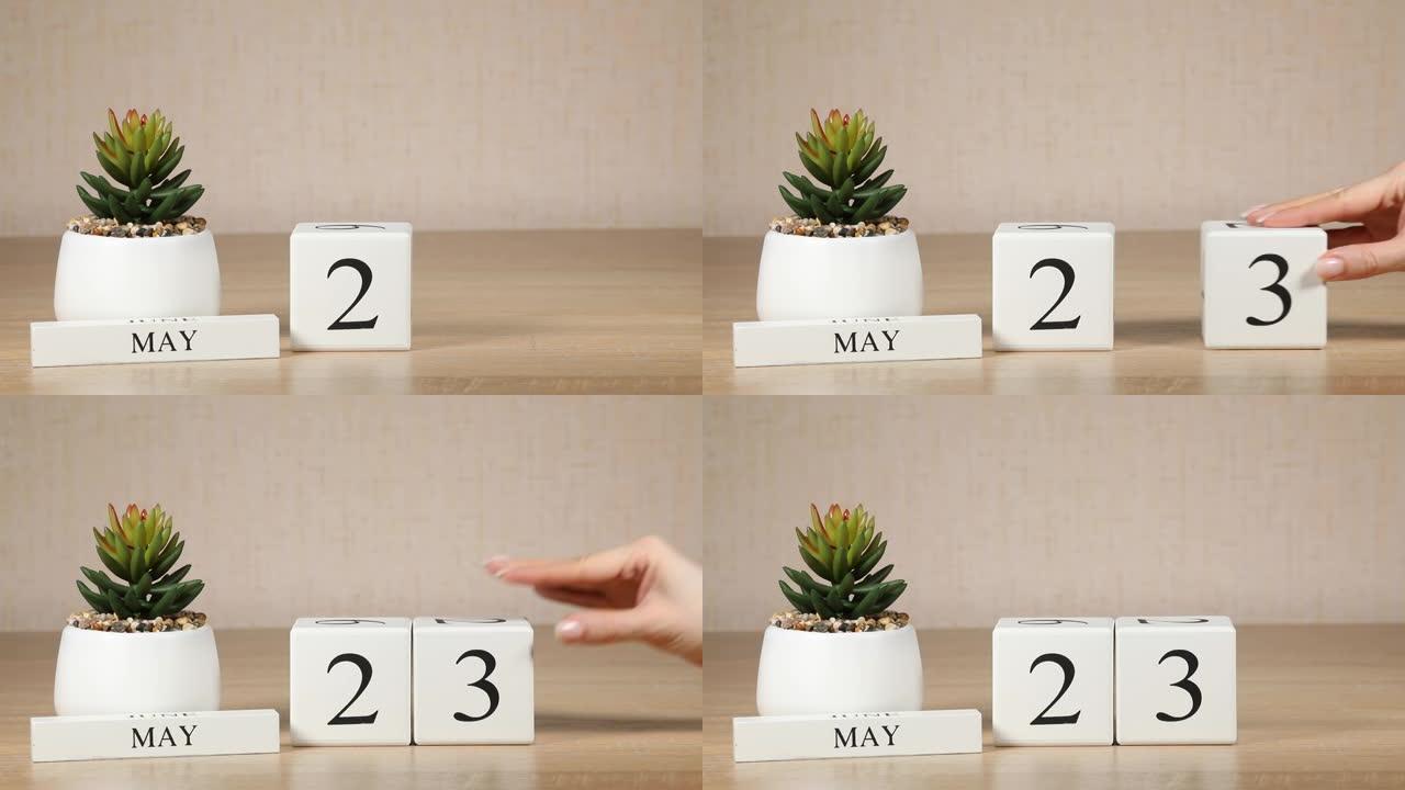 木制日历对5月23日来说是一个重要的事件，女人的手在日历上设置日期。春季。