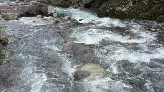 原始森林清澈溪涧流水