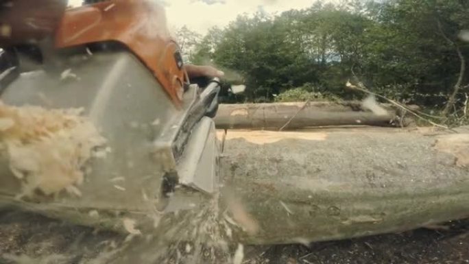 樵夫正在用汽油锯砍伐一棵树。芯片在相机的镜头中飞行