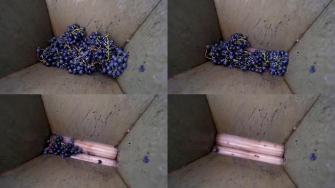 葡萄粉碎机从葡萄中榨汁