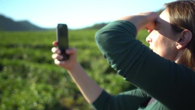 漂亮女人在山地背景的新鲜绿茶种植园用智能手机自拍