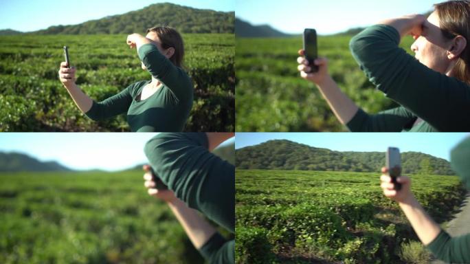 漂亮女人在山地背景的新鲜绿茶种植园用智能手机自拍