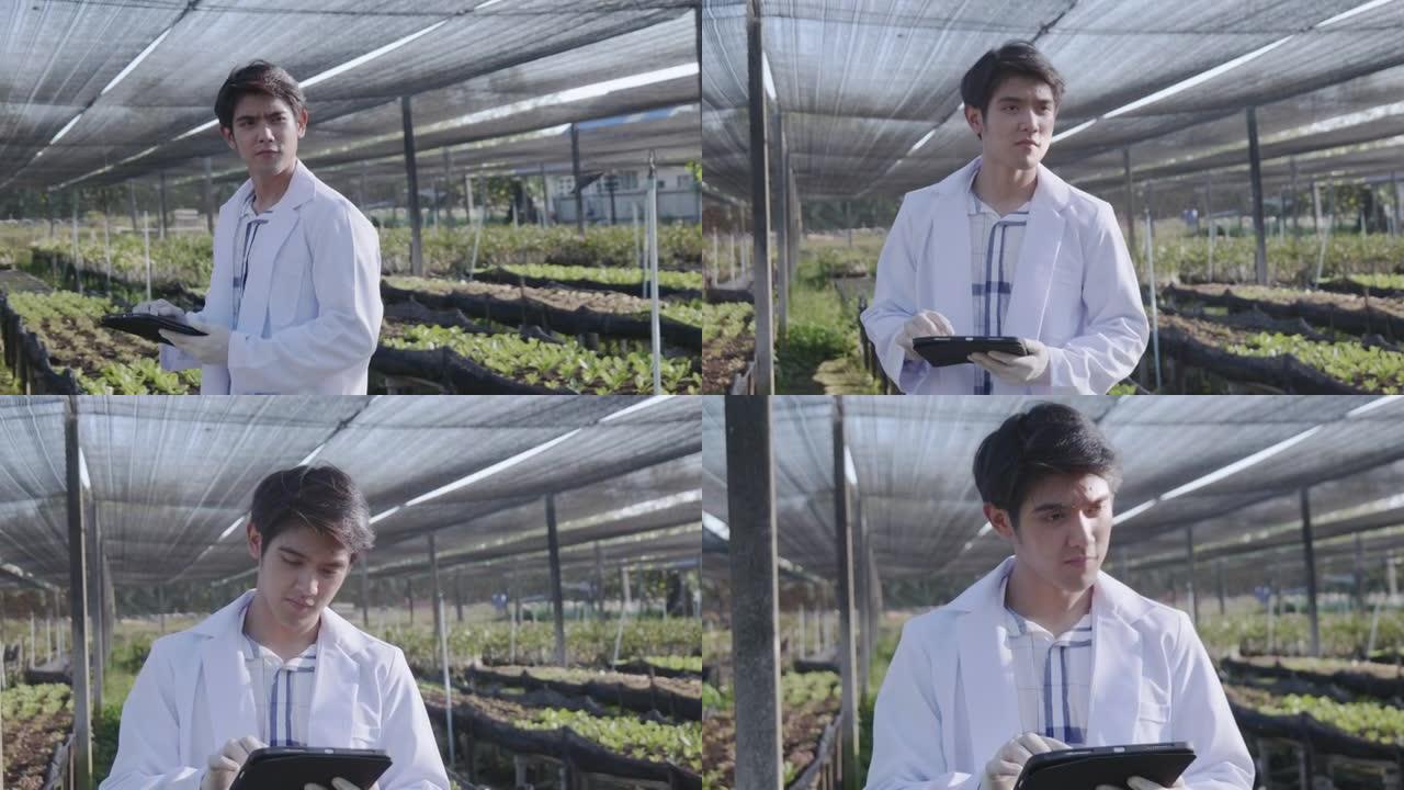 科学家使用智能手机并调查有关如何在花园里种植有机蔬菜的数据。