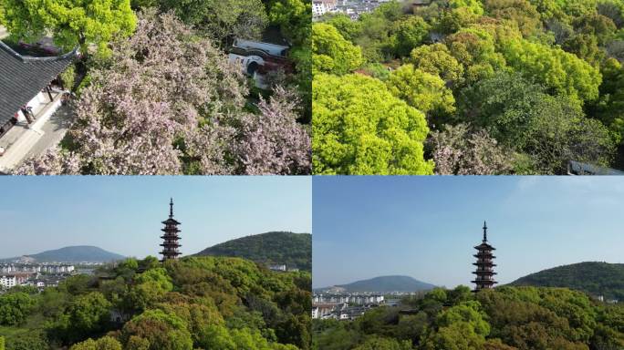 铜观音寺 太湖 晚樱 航拍 晴天 寺庙