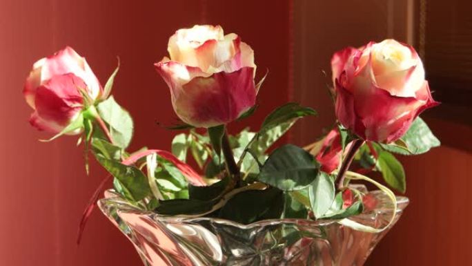 镜子里的一缕阳光在花瓶里的玫瑰上的反射