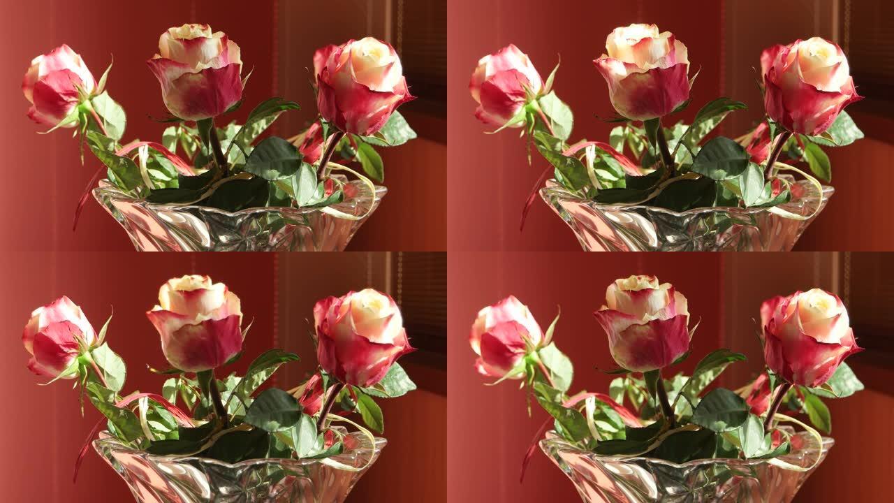 镜子里的一缕阳光在花瓶里的玫瑰上的反射