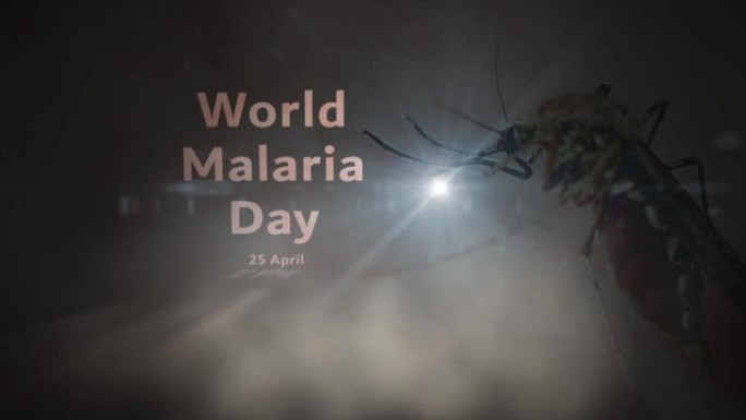 世界疟疾日与黑暗地区的蚊子一起揭示-4月25日