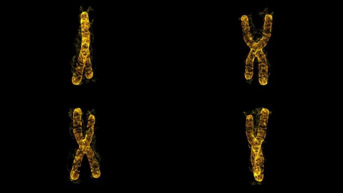 染色体科学医学教育理念。线框低聚网状网络空间网格科学与技术