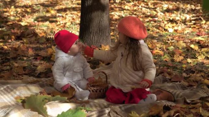 正宗的小可爱的高加索学龄前儿童女孩婴儿姐妹在秋天的公园或森林里落叶。孩子们花了时间。秋天的家庭。自然