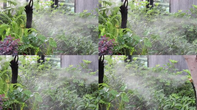 蒸汽和水流动的放松热带花园