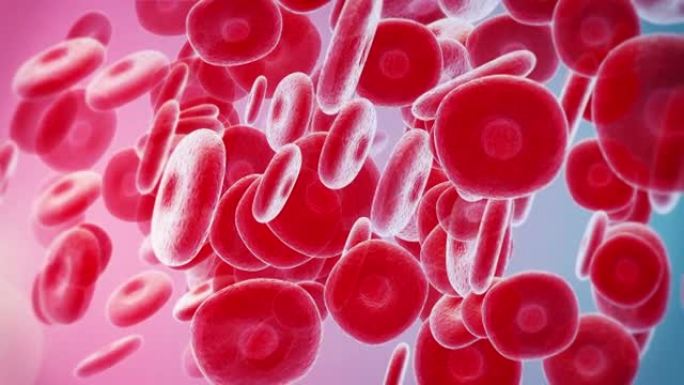 红细胞血小板人体组织白血病