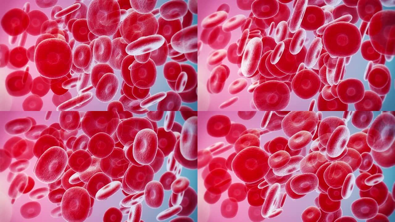 红细胞血小板人体组织白血病