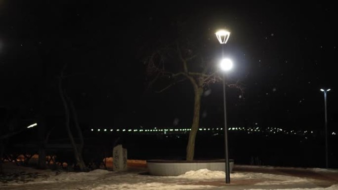 夜市公园明亮的灯光灯笼背景下的惊人降雪初冬平底锅拍摄。晚上的城市景观。气象，天气，自然现象，圣诞快乐
