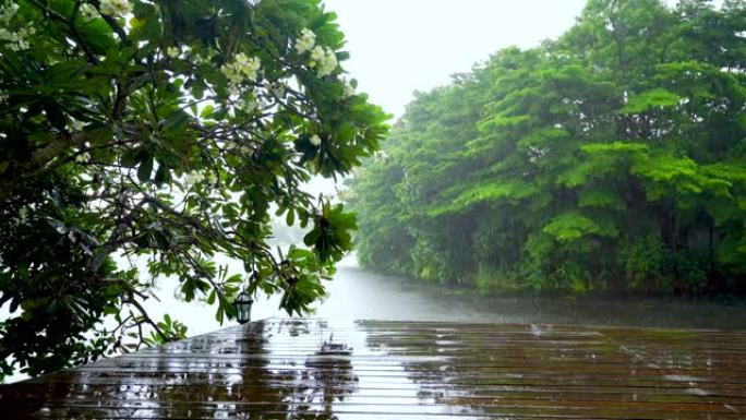 热带雨滴落在热带森林的木制露台上，有雨声，热带雨重在湖面。