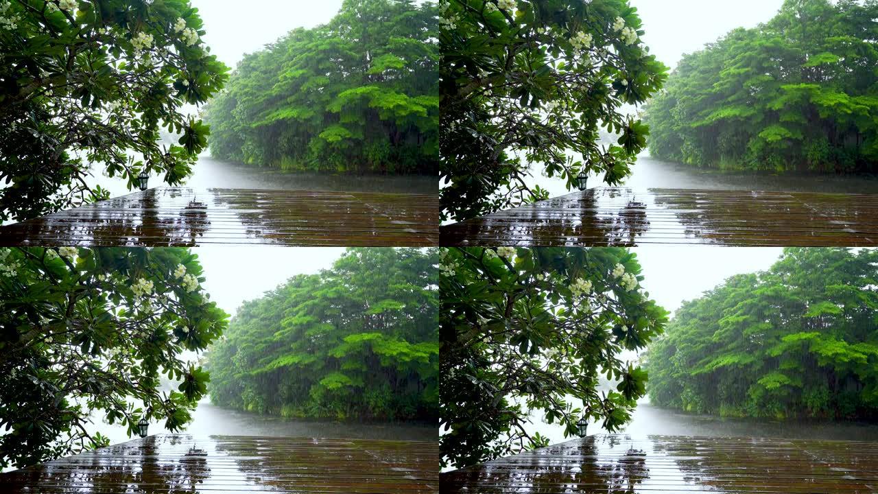 热带雨滴落在热带森林的木制露台上，有雨声，热带雨重在湖面。