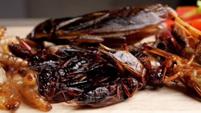 木盘上油炸昆虫。昆虫是蛋白质含量高的食物。