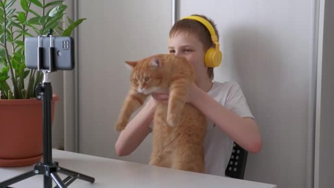 男孩博主向追随者介绍他的宠物红猫。青少年直播，在家中观看智能手机屏幕和手势