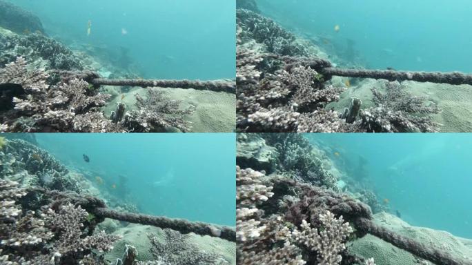 珊瑚礁幽灵网的环境破坏
