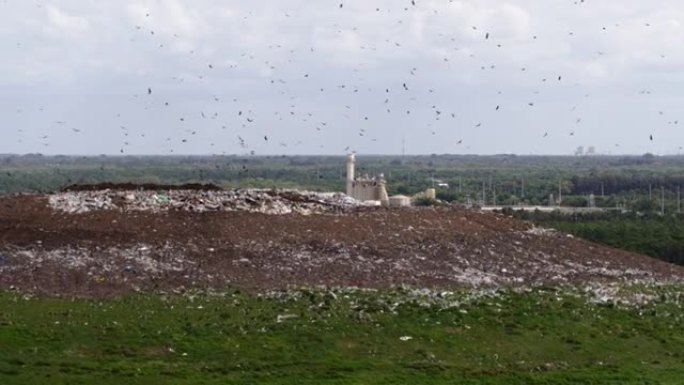 美国佛罗里达州垃圾填埋场卫生场地和废物管理厂的鸟瞰图。一大群秃鹰正在垃圾堆上飞来飞去。带有平移相机运
