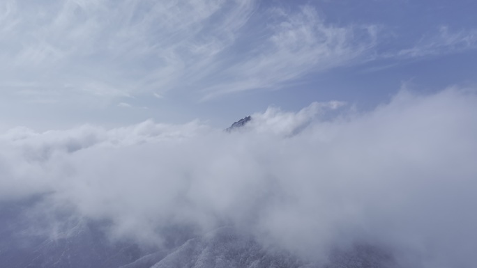 雪景