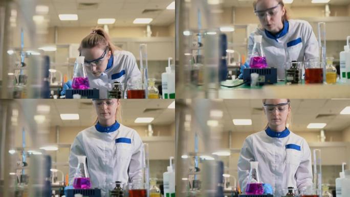 科学家观察实验室烧瓶中冒泡的粉红色液体。spbas化学家工作，开发化学品