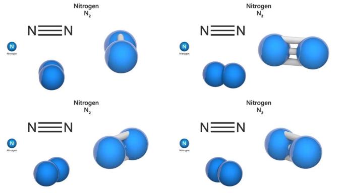 氮 (N2)。无缝循环。