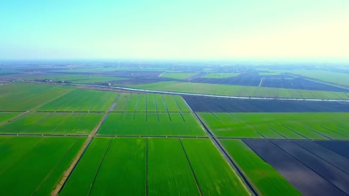 灌溉渠划分无边无际的绿色发芽田