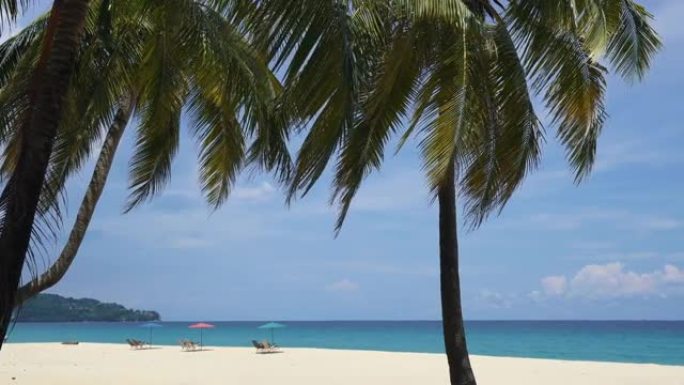 椰子树和白沙自然热带棕榈树海和天空到海滩放松与椅子棕榈绿松石海背景安达曼海。