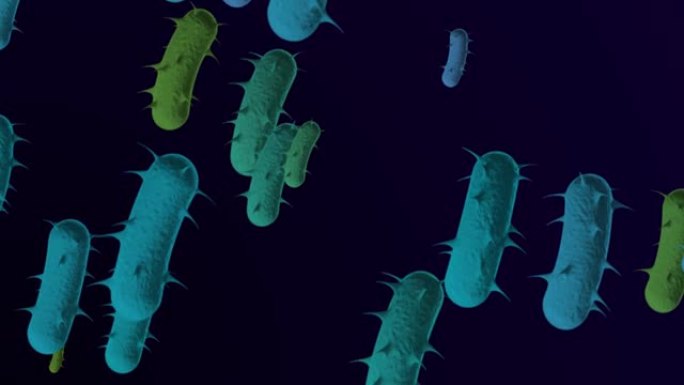 4k显微细菌医学背景-循环，可循环细菌-漂浮大肠杆菌细菌-细菌的3D动画。螺旋细菌特写-蓝绿色