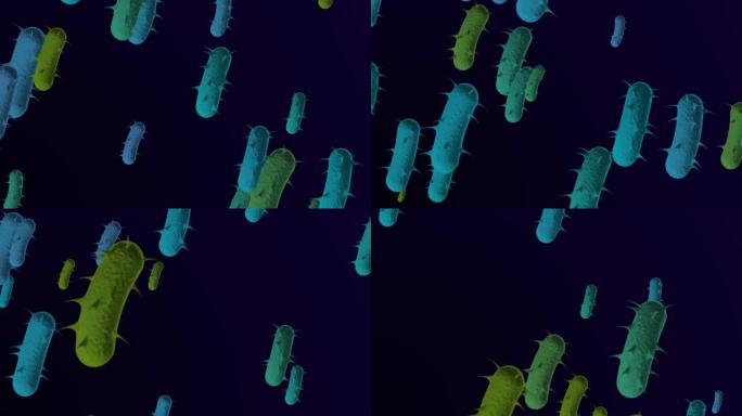 4k显微细菌医学背景-循环，可循环细菌-漂浮大肠杆菌细菌-细菌的3D动画。螺旋细菌特写-蓝绿色