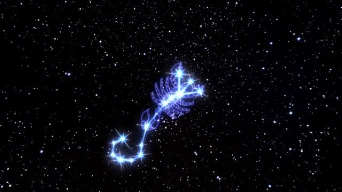 黄道星座天蝎座是由发光线连接的亮星星座。宇宙夜空中黄道十二宫星座的动画。星座和星座的象征。