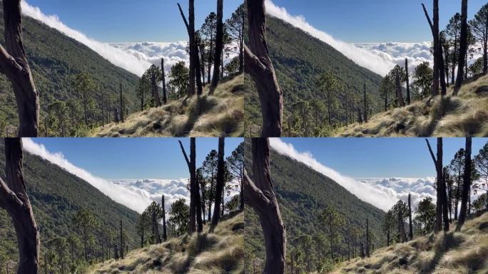 在美丽的晴天，白云笼罩着大自然和绿色松树的山丘 (2021年4月1日)
