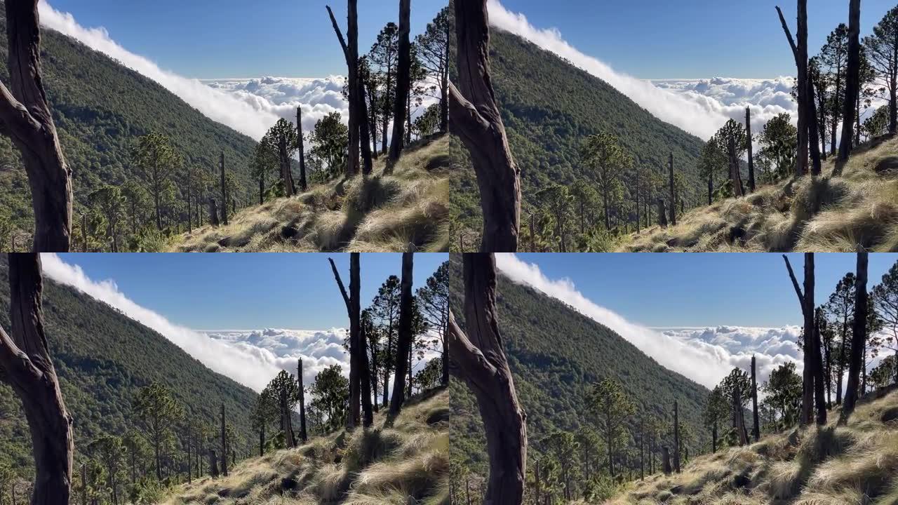 在美丽的晴天，白云笼罩着大自然和绿色松树的山丘 (2021年4月1日)