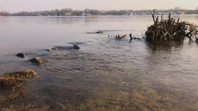 在被冲刷的河岸和障碍的背景下，河流溢出了河岸，水流和石头的特写镜头