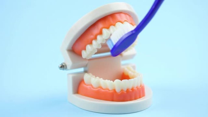 口腔护理。如何用牙刷正确刷牙