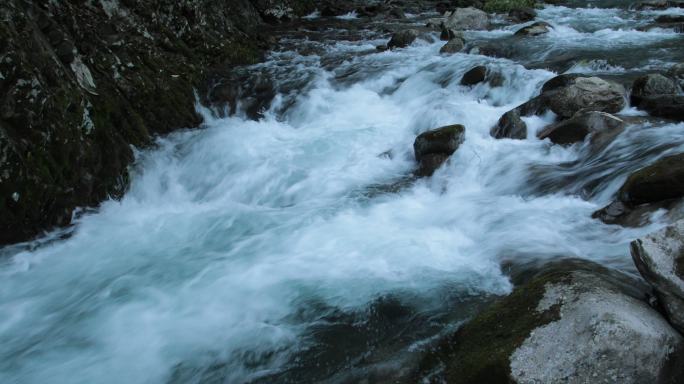 原始森林清澈溪涧流水