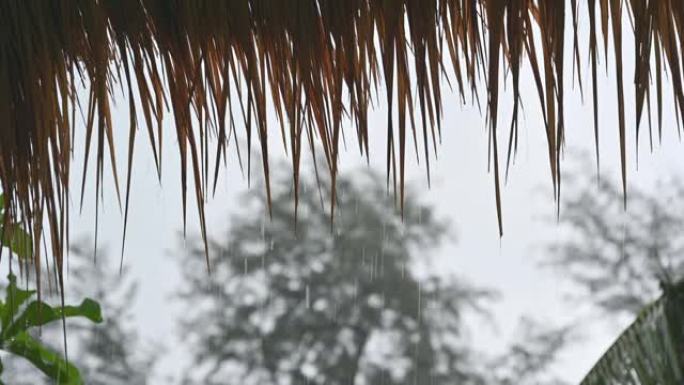 雨天从茅草屋顶上滴落的水