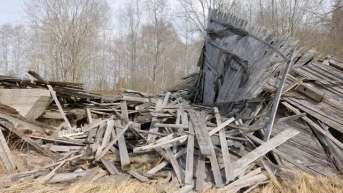爱沙尼亚森林里破碎的木屋